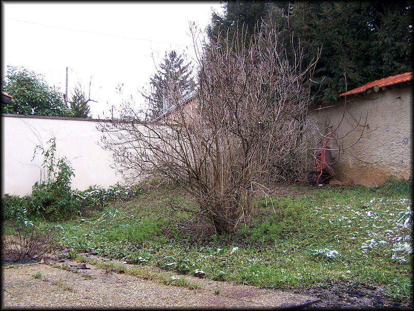jardin nord