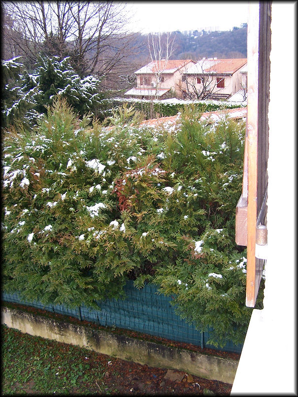 chambre3