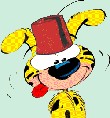 Avatar de l’utilisateur