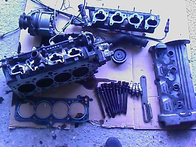 IMAGE_005.jpg